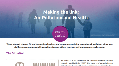Policy Precis Banner Air Pollution and Health