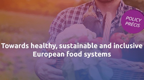 Policy precis banner sustainable european food systems
